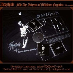 Artwork for Kozeljnik