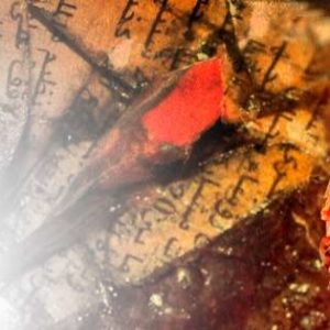 [SUN] by Alter Onyros