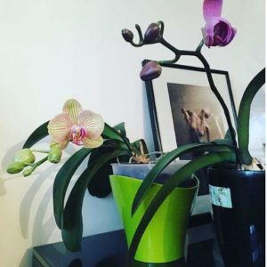 [LE JOUR BLANC] print