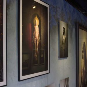 Hybridarium exhibition