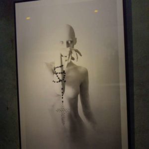 [LE MAL PAR LE MAL] at Hybridarium exhibition