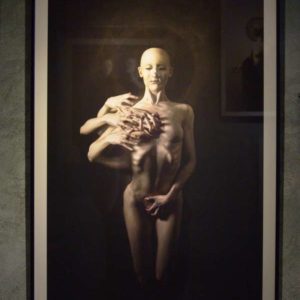 [PLAGUE] at Hybridarium exhibition