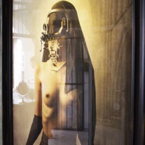 [DE CARCERE CORPORIS] at Hybridarium exhibition