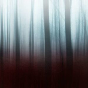 Artwork for Taphephobia