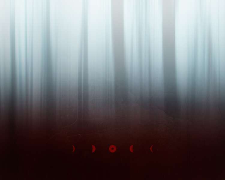 [CARNIVOROUS WINDS]<br><u><a href="http://www.nihil.fr/product/ghostwood/">Order a print</a></u>